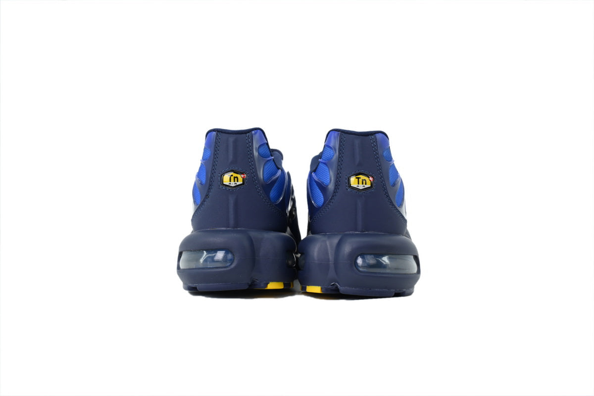 Nike Air Max Plus Sneakers | EU 39¨C47.5