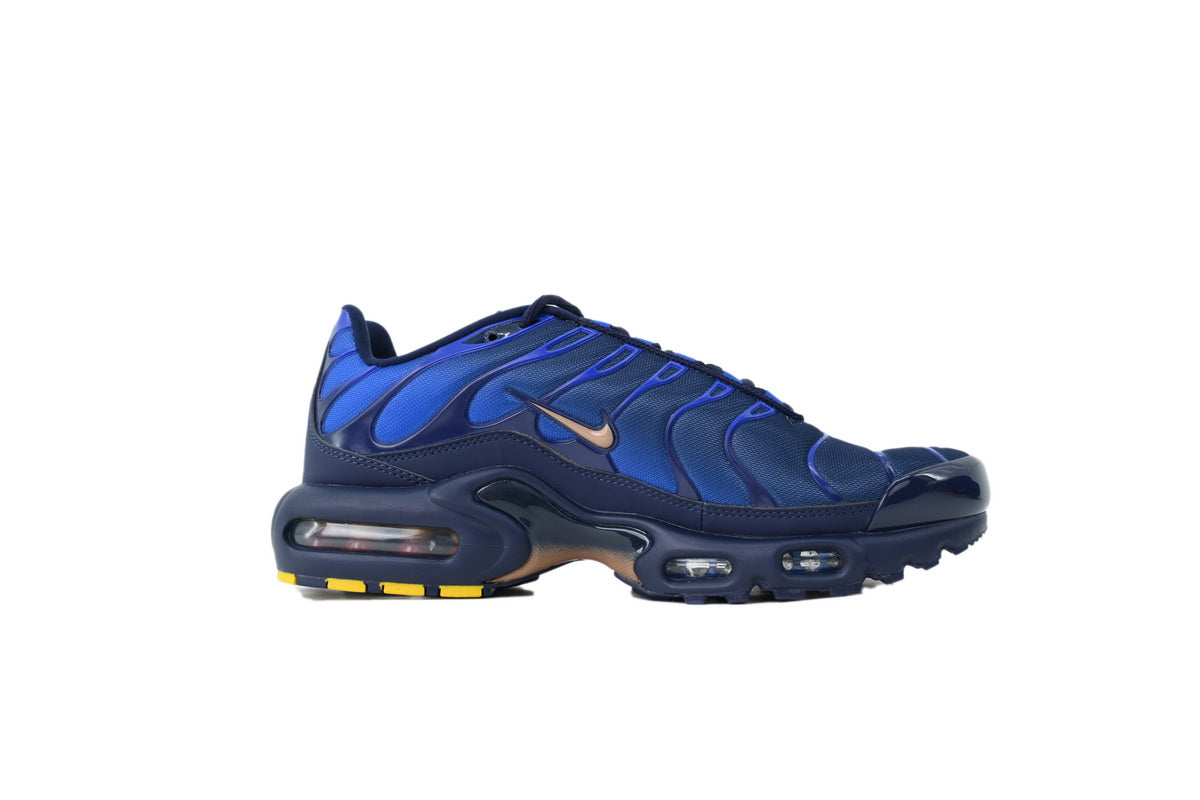 Nike Air Max Plus Sneakers | EU 39¨C47.5